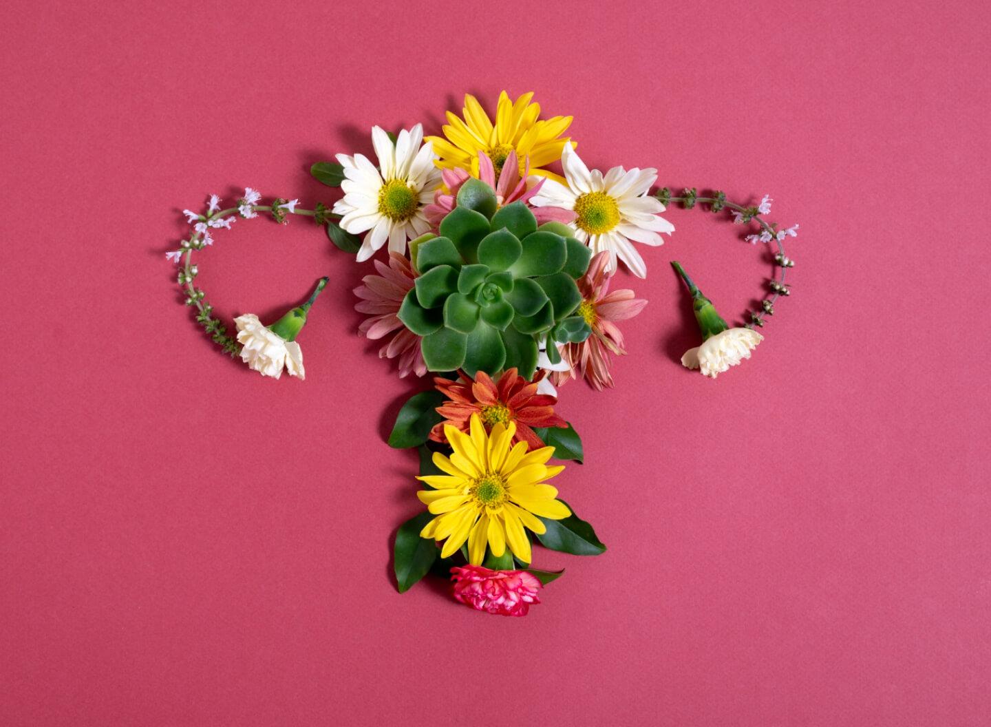 Flowers arranged in the shape of the female reproductive system